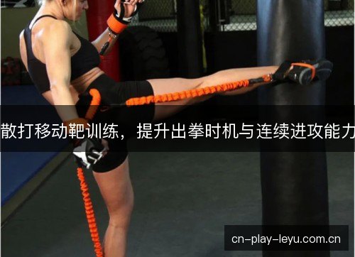 散打移动靶训练，提升出拳时机与连续进攻能力